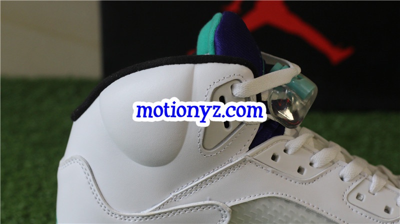 Authentic Air Jordan 5 Retro Grapes